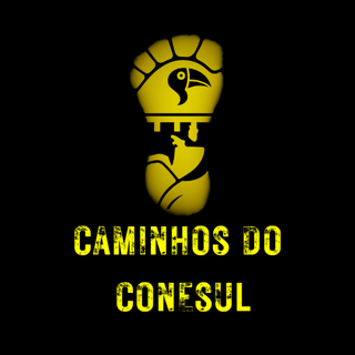 Copia De CONESUL